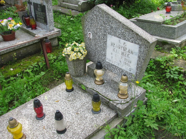 Grób Władysław Halweg
