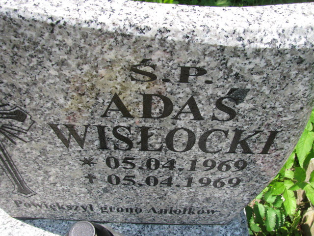 Adam Wisłocki 1969 Głuszyca - Grobonet - Wyszukiwarka osób pochowanych