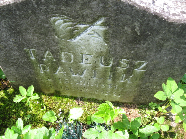 Tadeusz Pawlik 1951 Głuszyca - Grobonet - Wyszukiwarka osób pochowanych